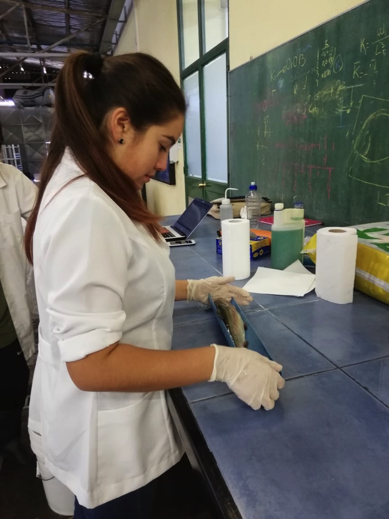 7 Medición longitud y registro.jpg